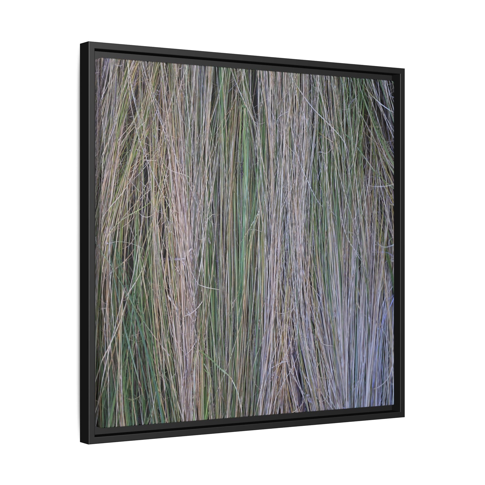 Whispers of Silver Grass - Unique Stretched Canvas Wall Art - Art By Earth