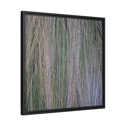Whispers of Silver Grass - Unique Stretched Canvas Wall Art - Art By Earth