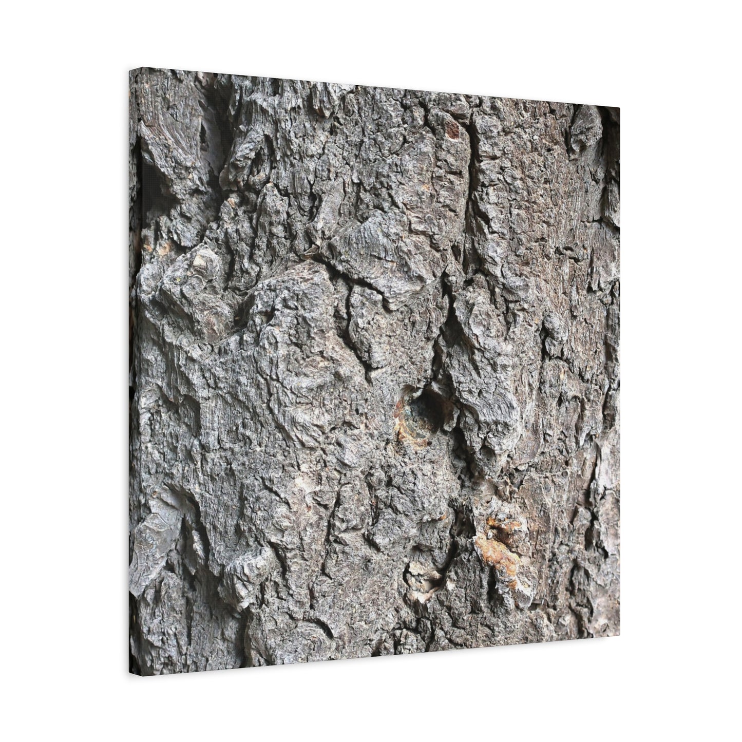 Elemental Canvas - Unique Frameless Canvas Wall Art - Art By Earth