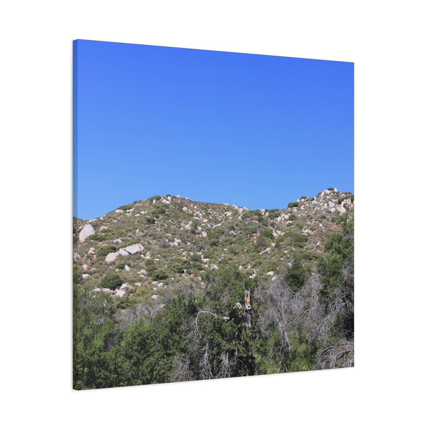 Rocky Hills with Desert Vegetation - Unique Frameless Canvas Wall Art