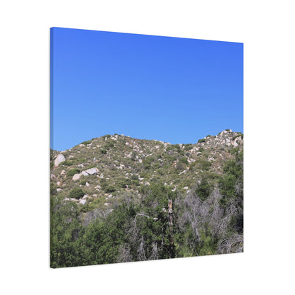 Rocky Hills with Desert Vegetation - Unique Frameless Canvas Wall Art