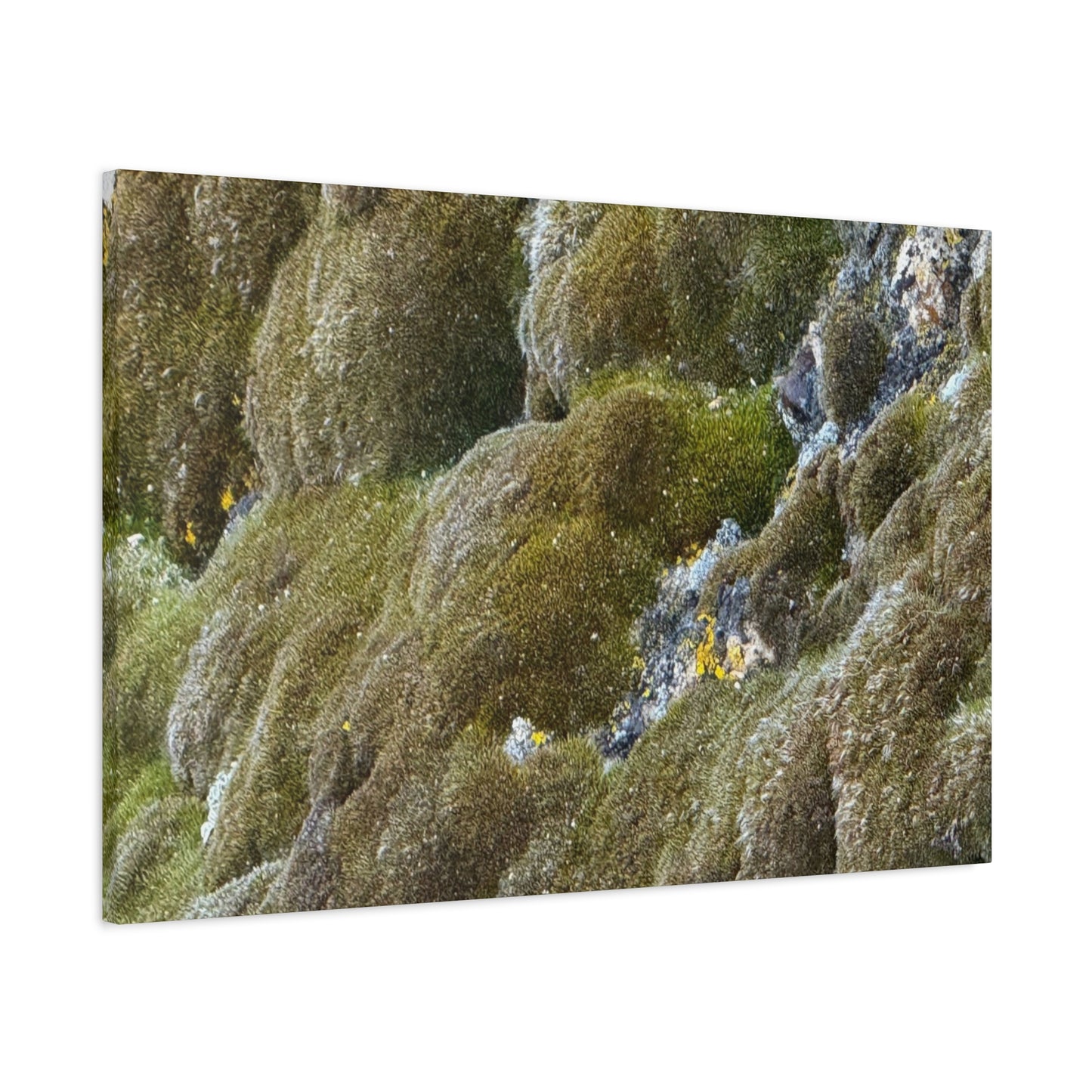 Verdant Stone Symphony - Unique Frameless Canvas Wall Art