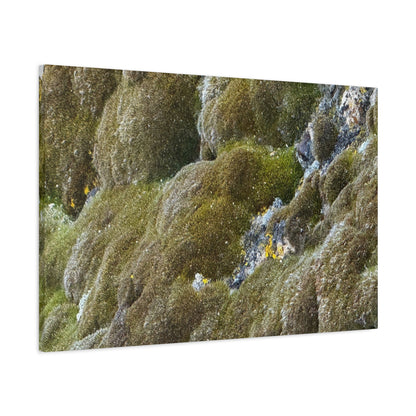 Verdant Stone Symphony - Unique Frameless Canvas Wall Art