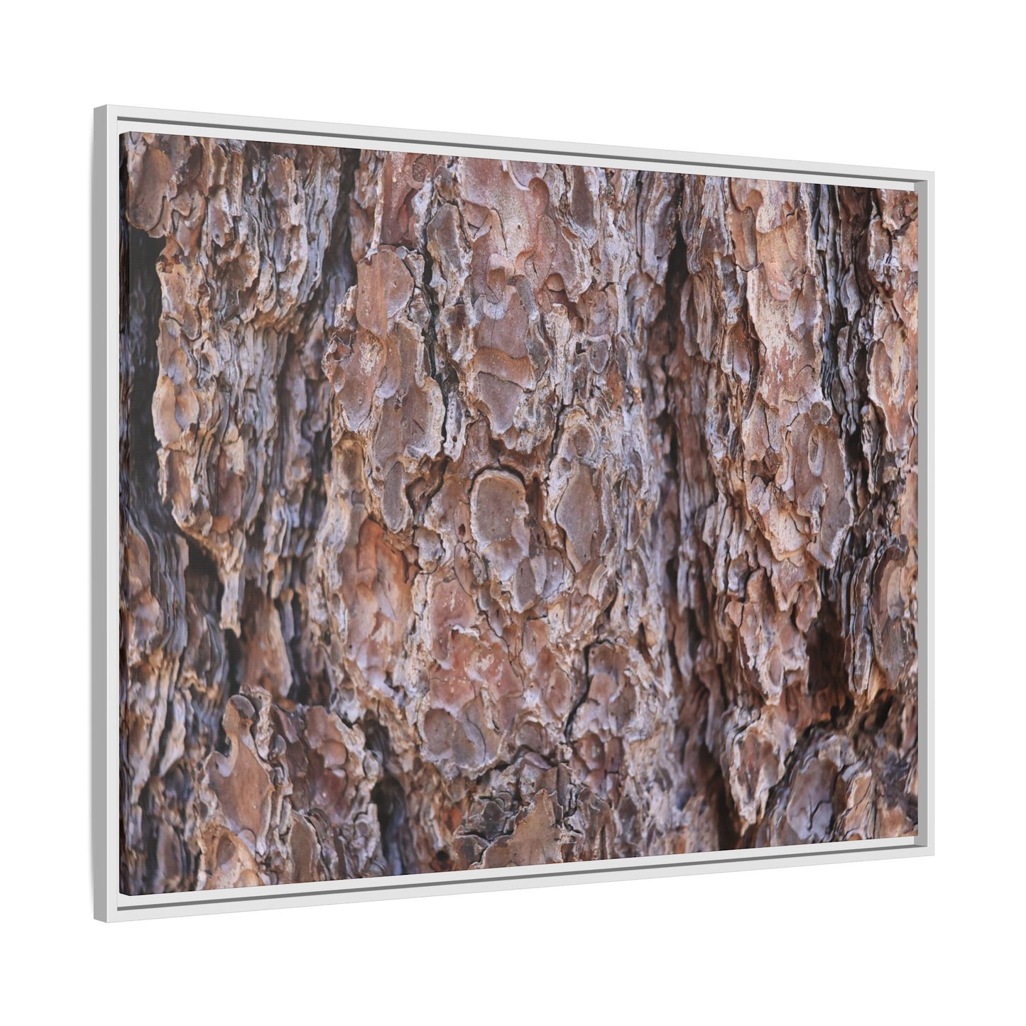 Woody Layers - Unique Stretched Canvas Wall Art - Art By Earth