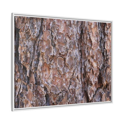 Woody Layers - Unique Stretched Canvas Wall Art - Art By Earth