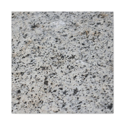 Speckled Silence - Unique Frameless Canvas Wall Art - Art By Earth