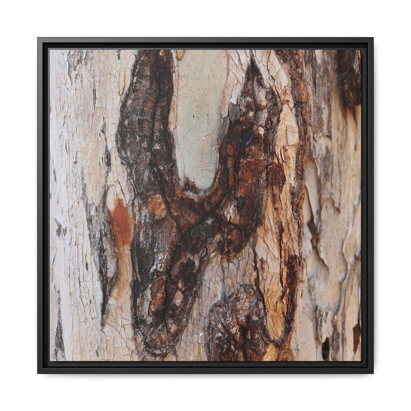 Texture of Time - Unique Stretched Canvas Wall Art - Art By Earth