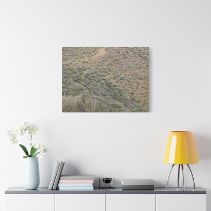 Desert Path Through Sagebrush - Unique Frameless Canvas Wall Art - Art By Earth