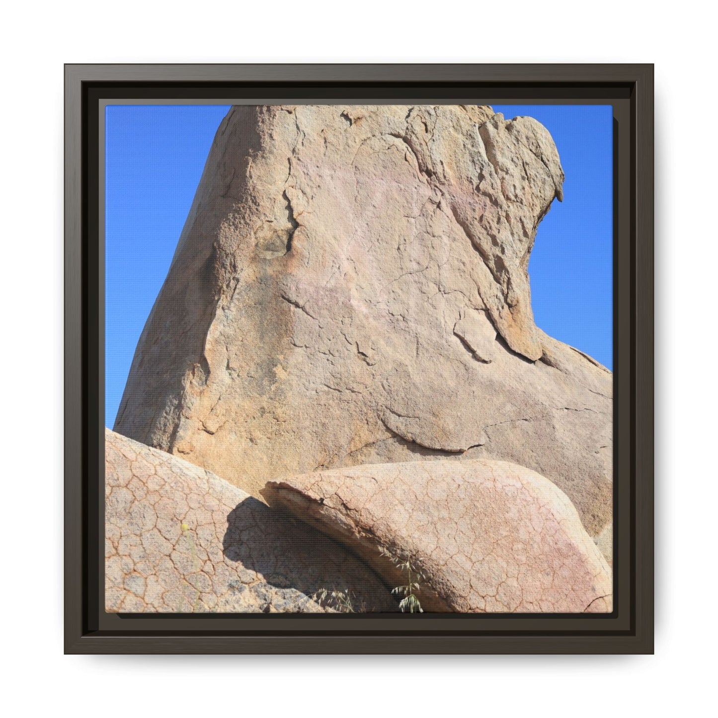 Rocky Sentinel - Unique Stretched Canvas Wall Art - Art By Earth
