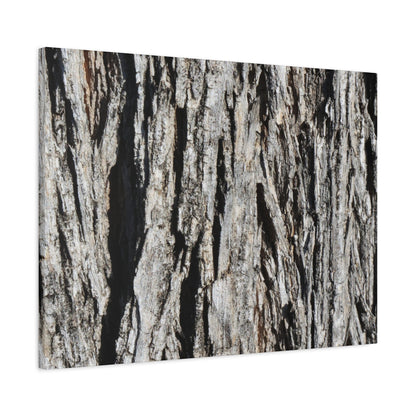 Bark Layers in Monochrome - Unique Frameless Canvas Wall Art - Art By Earth