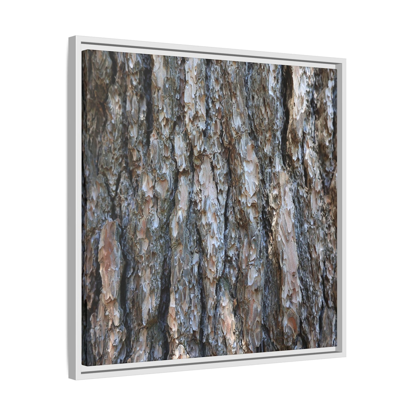 Bark Whispers - Unique Stretched Canvas Wall Art - Art By Earth