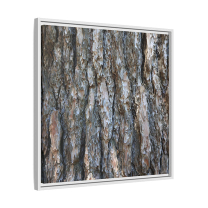 Bark Whispers - Unique Stretched Canvas Wall Art - Art By Earth