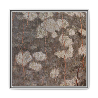 Lichen's Legacy - Unique Stretched Canvas Wall Art - Art By Earth