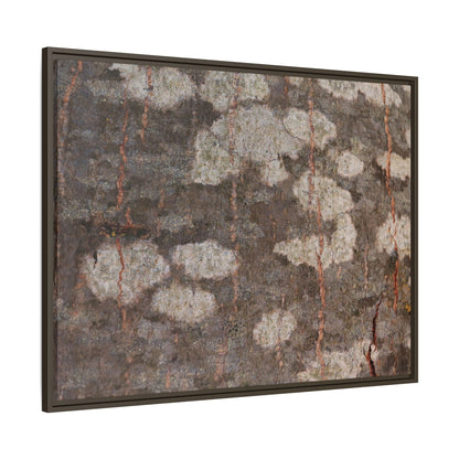 Lichen's Legacy - Unique Stretched Canvas Wall Art - Art By Earth