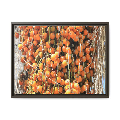 Clusters of Sunlight - Unique Canvas Wall Art - Art By Earth