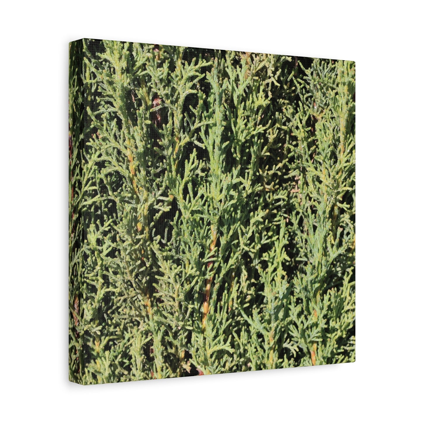 Emerald Tapestry - Unique Frameless Canvas Wall Art - Art By Earth