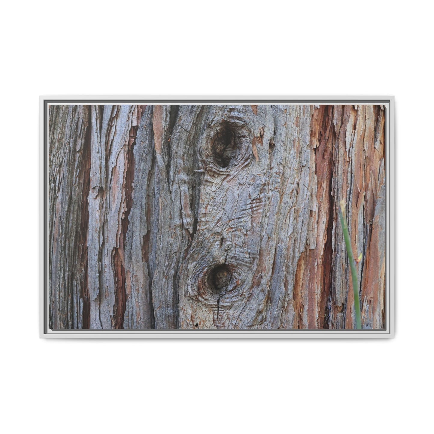 Knotty Nature - Unique Stretched Canvas Wall Art - Art By Earth