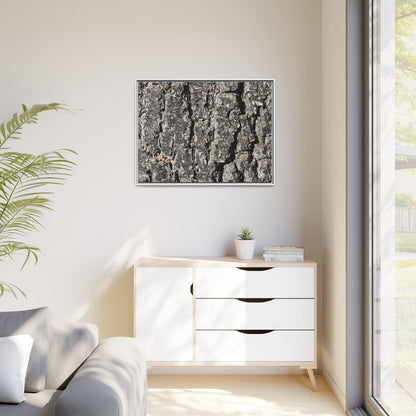 Bark Study in Gray - Unique Stretched Canvas Wall Art - Art By Earth