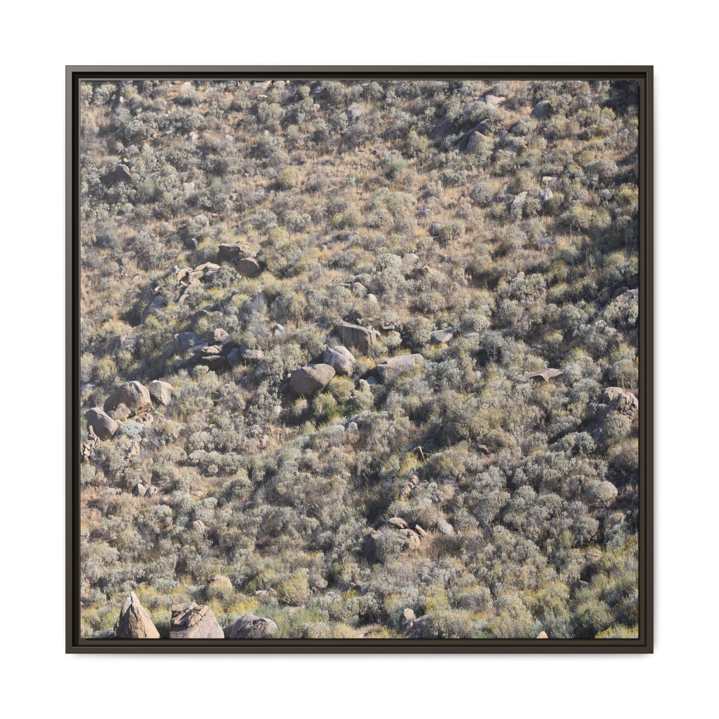 Arid Terrain Study - Unique Stretched Canvas Wall Art - Art By Earth