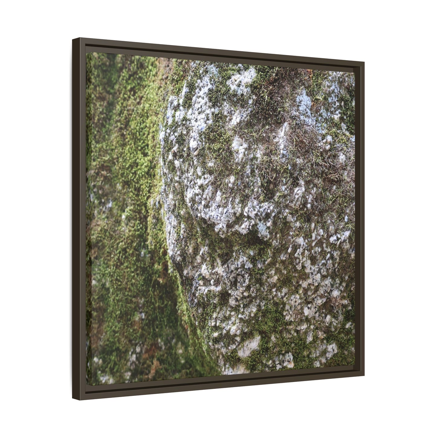 Lichen Landscape - Unique Stretched Canvas Wall Art - Art By Earth