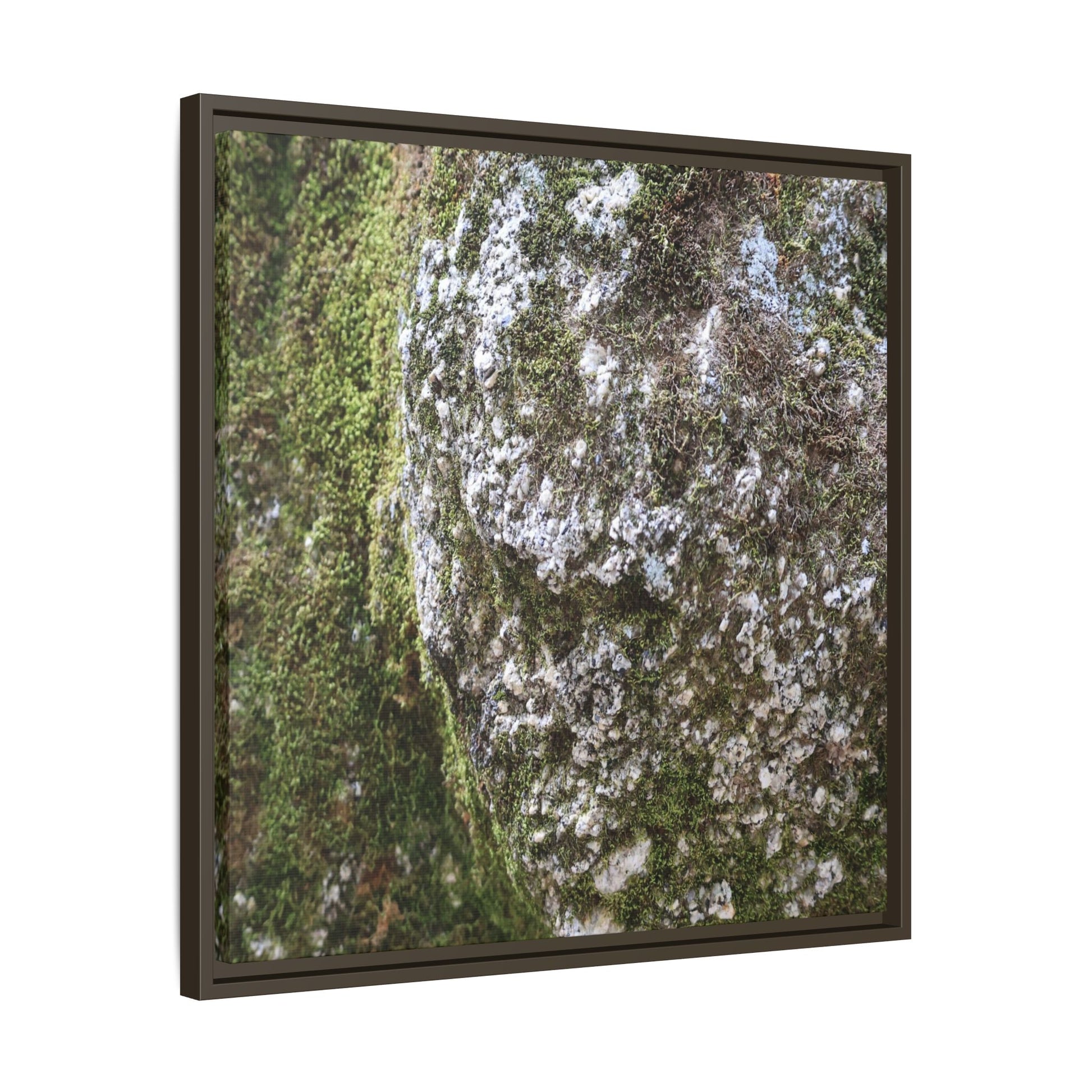 Lichen Landscape - Unique Stretched Canvas Wall Art - Art By Earth