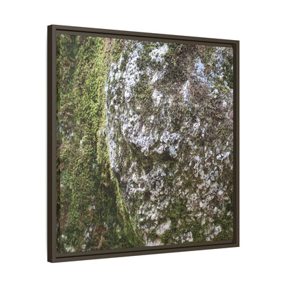 Lichen Landscape - Unique Stretched Canvas Wall Art - Art By Earth