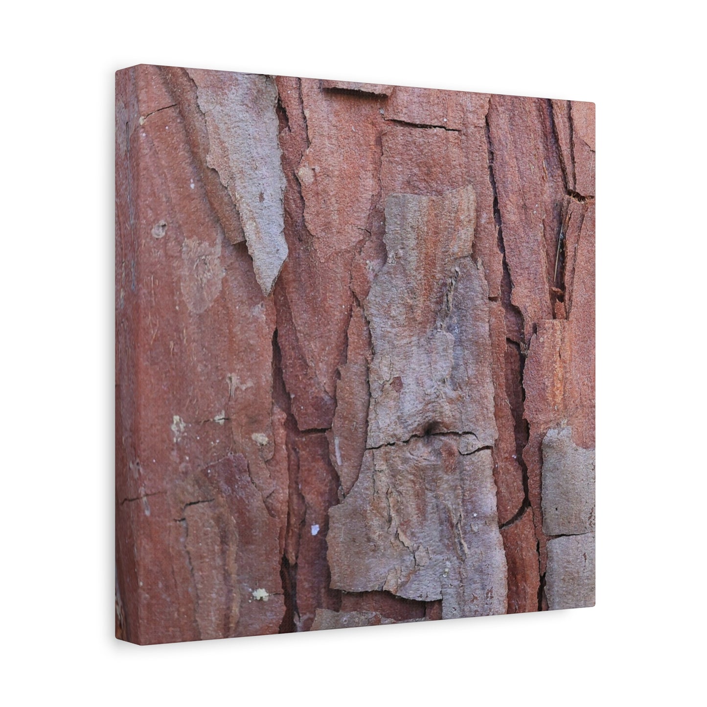 Fractal Rust - Unique Frameless Canvas Wall Art - Art By Earth