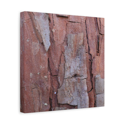 Fractal Rust - Unique Frameless Canvas Wall Art - Art By Earth