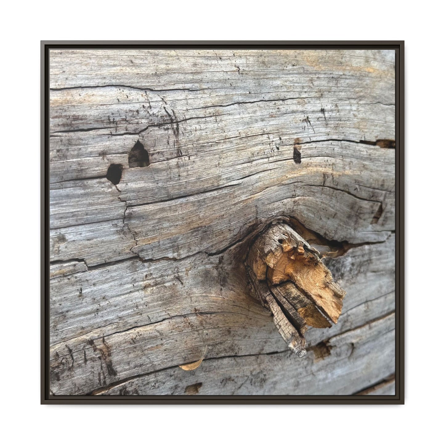 Weathered Wood Texture - Unique Stretched Canvas Wall Art - Art By Earth