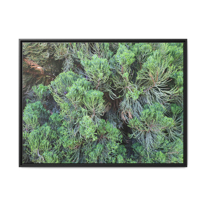 Verdant Whispers - Unique Stretched Canvas Wall Art - Art By Earth