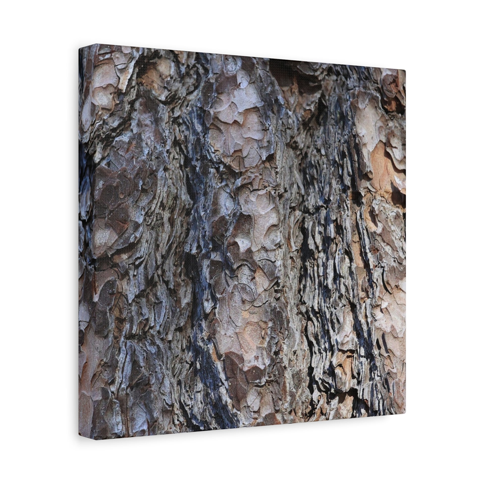 Bark's Rugged Symphony - Unique Frameless Canvas Wall Art - Art By Earth