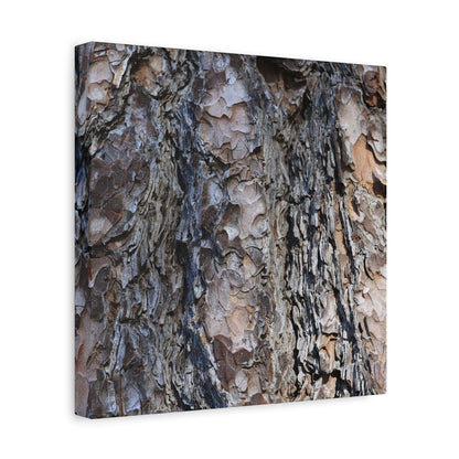 Bark's Rugged Symphony - Unique Frameless Canvas Wall Art - Art By Earth