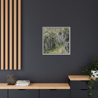 Forest Decline - Unique Stretched Canvas Wall Art