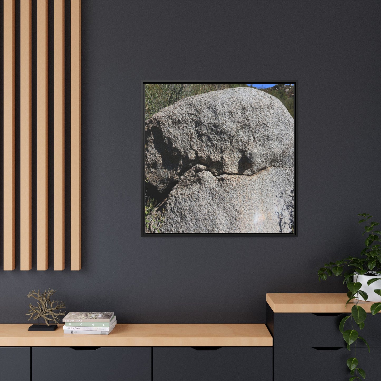 Stone Skull in Desert - Unique Stretched Canvas Wall Art