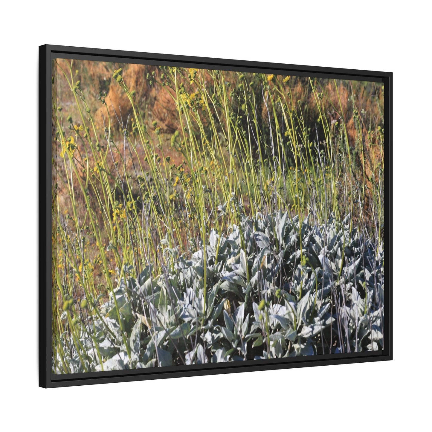 Arid Landscape with Yellow Flowers - Unique Stretched Canvas Wall Art - Art By Earth