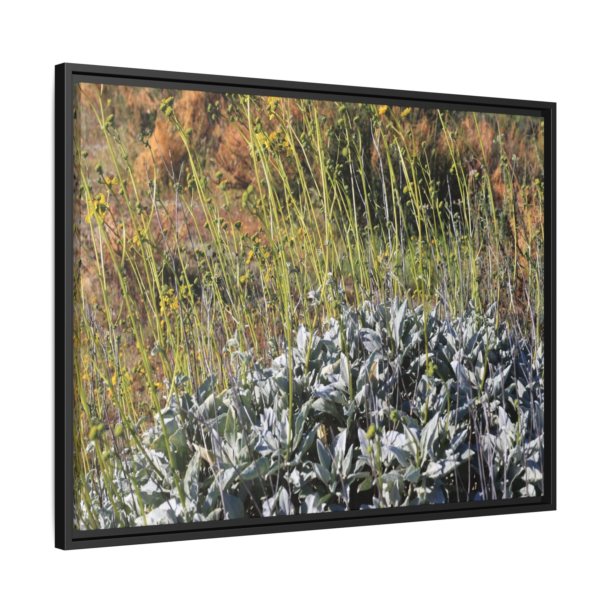 Arid Landscape with Yellow Flowers - Unique Stretched Canvas Wall Art - Art By Earth