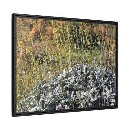Arid Landscape with Yellow Flowers - Unique Stretched Canvas Wall Art - Art By Earth