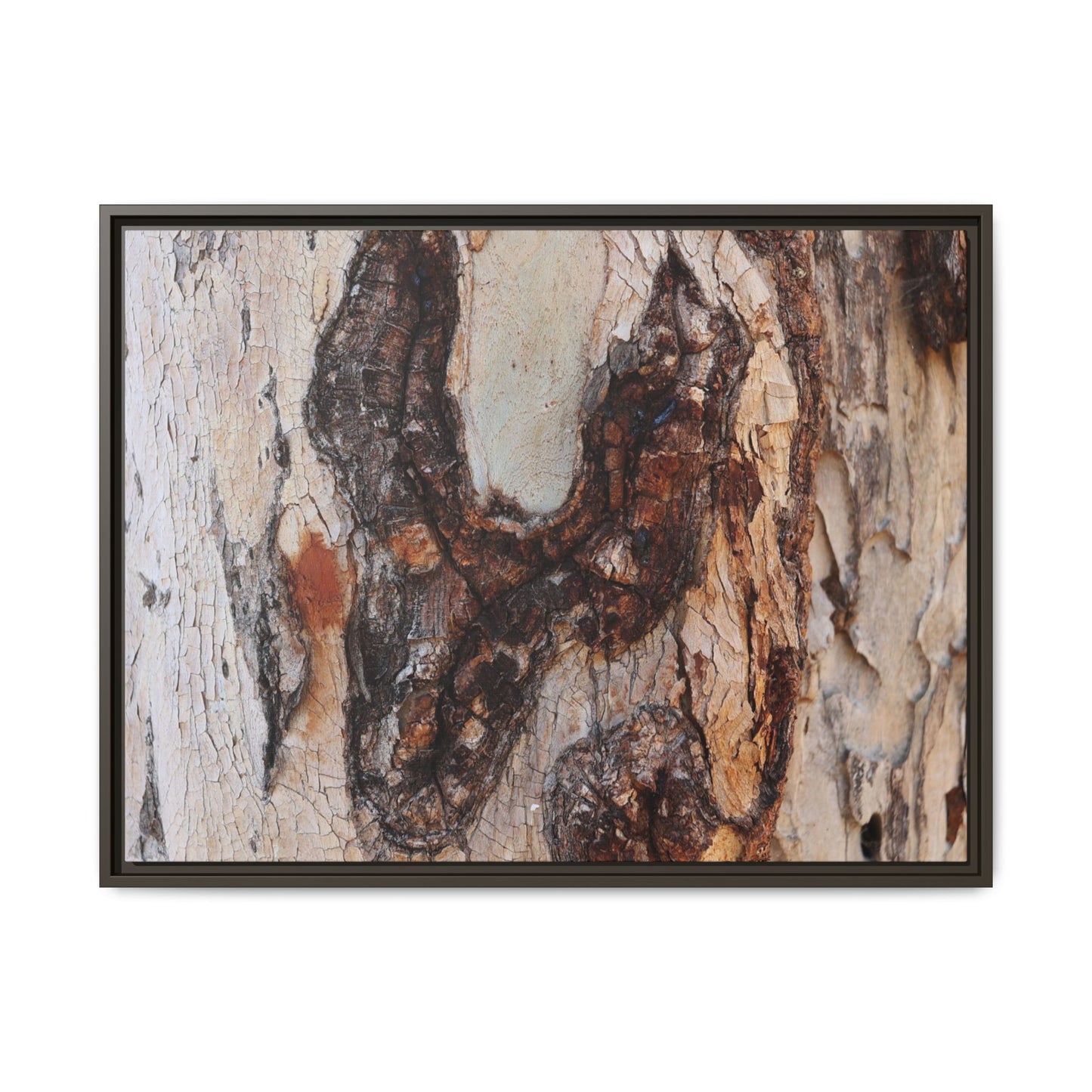 Texture of Time - Unique Stretched Canvas Wall Art - Art By Earth