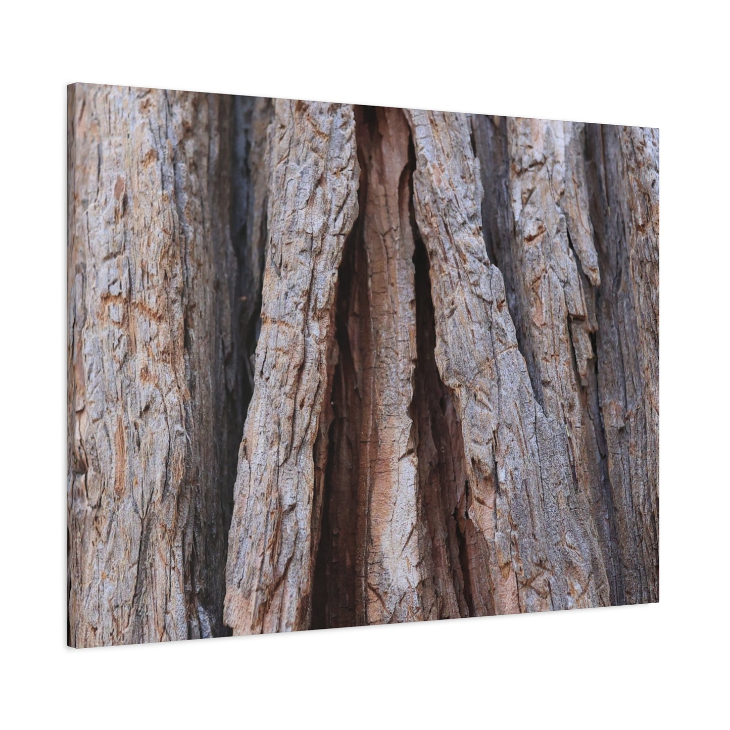 Fractured Skin of Time - Unique Frameless Canvas Wall Art - Art By Earth