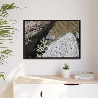Resilience in Stone - Unique Stretched Canvas Wall Art - Art By Earth