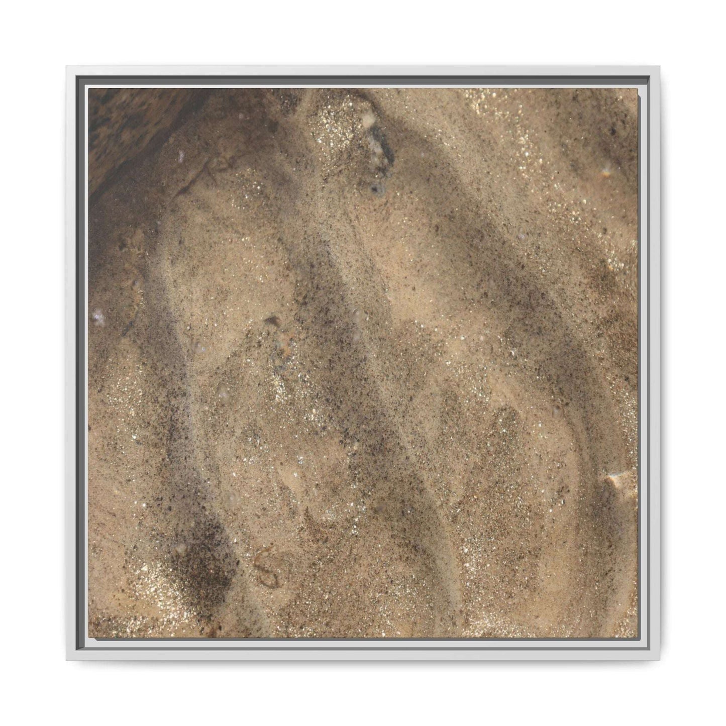Tidal Pool Secrets - Unique Stretched Canvas Wall Art - Art By Earth