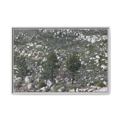 Rocky Hillside with Pine Trees - Unique Stretched Canvas Wall Art - Art By Earth