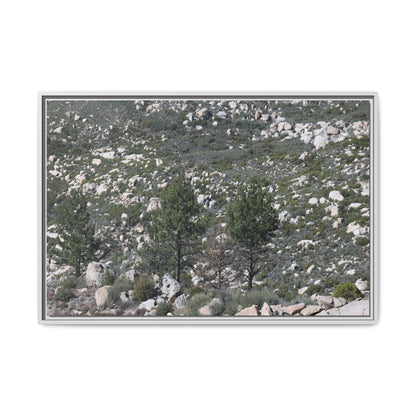 Rocky Hillside with Pine Trees - Unique Stretched Canvas Wall Art - Art By Earth