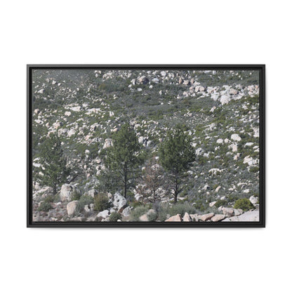 Rocky Hillside with Pine Trees - Unique Stretched Canvas Wall Art - Art By Earth