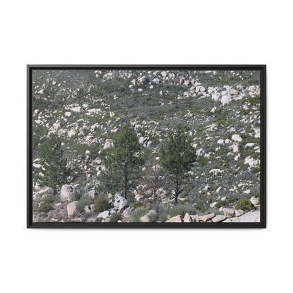 Rocky Hillside with Pine Trees - Unique Stretched Canvas Wall Art - Art By Earth