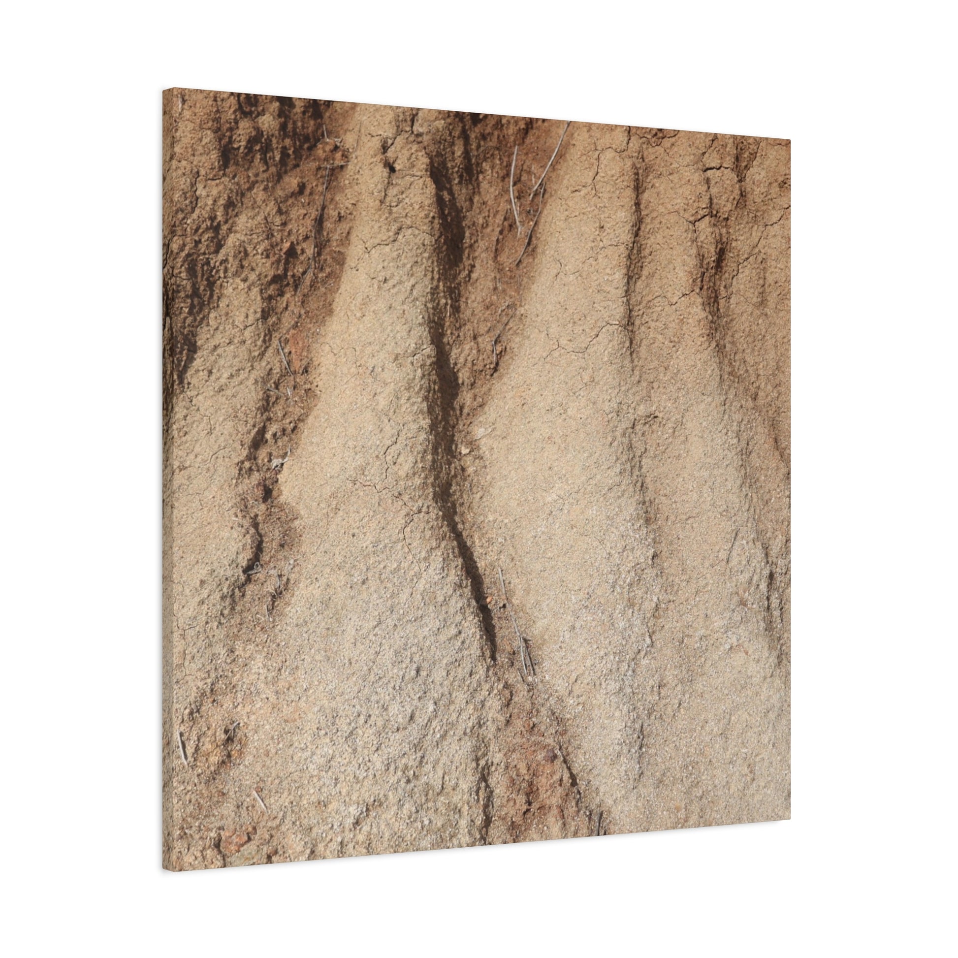 Weathered Earth - Unique Frameless Canvas Wall Art - Art By Earth