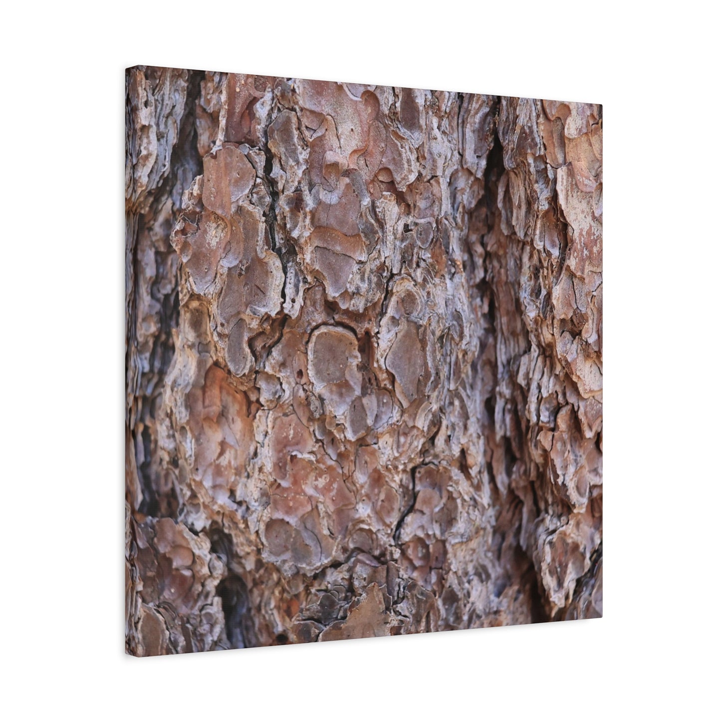 Rugged Bark Landscape - Unique Frameless Canvas Wall Art - Art By Earth