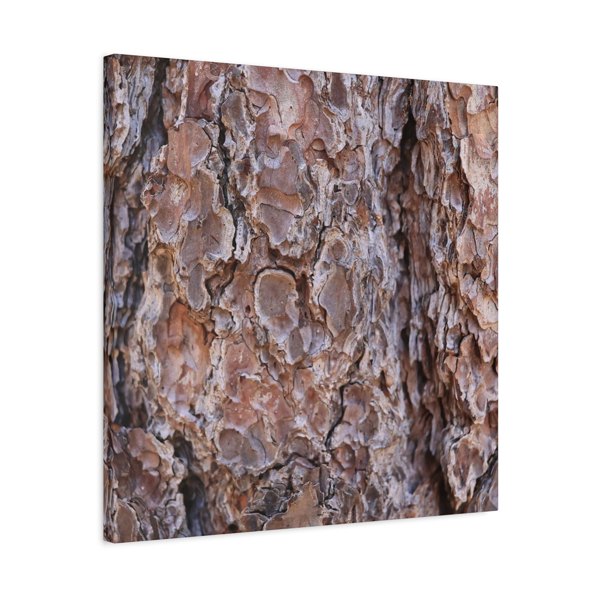 Rugged Bark Landscape - Unique Frameless Canvas Wall Art - Art By Earth