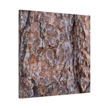 Rugged Bark Landscape - Unique Frameless Canvas Wall Art - Art By Earth