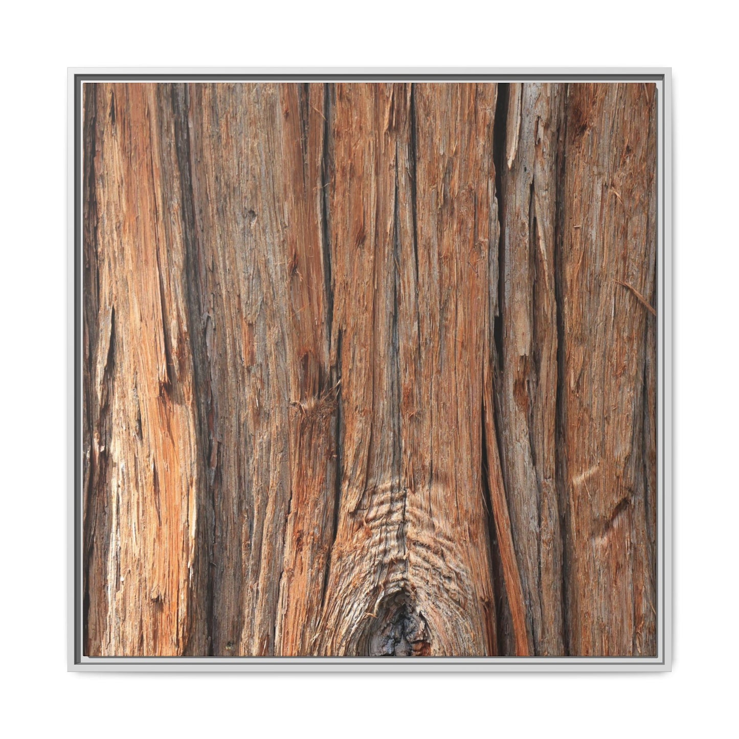 Echoes of Timber - Unique Stretched Canvas Wall Art - Art By Earth